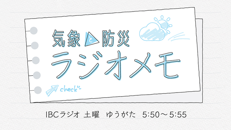半径1M以内なら滝壷癒し感覚が・・・コロナ放電空気清浄技術採用ネックレスタイプ携帯マイナスイオン発生器/新品 ビューストア