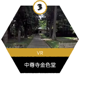 VR_中尊寺金色堂
