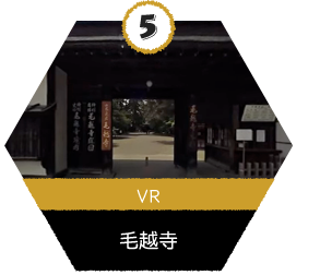 VR_毛越寺