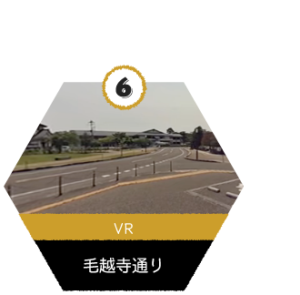 VR_毛越寺通り